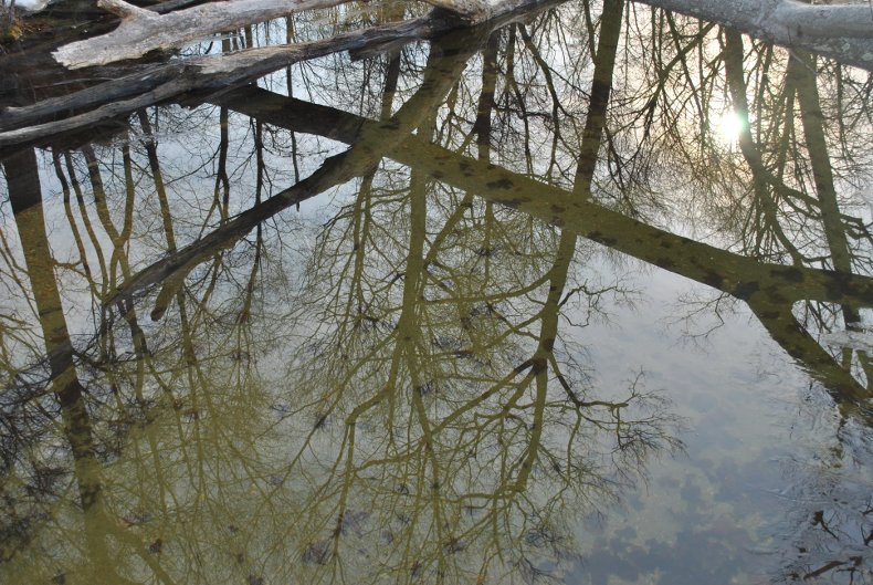 The Reservoir by Christie Brennan