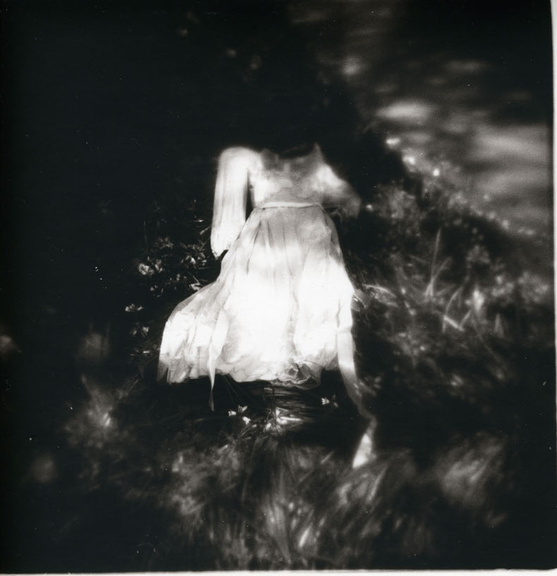 Sombra Series #5 by Wendy Phillips